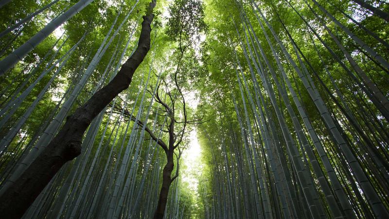 禁漫天堂下载作品库主视觉